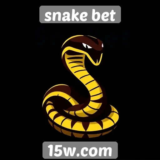 Avaliação das funcionalidades disponíveis no site Snake Bet